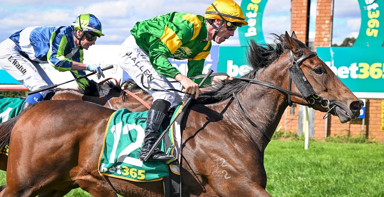 Regal Ascend - Terang 17th March 2026